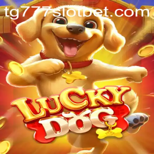 Exploring LuckyDog and the tg777 Slot Experience